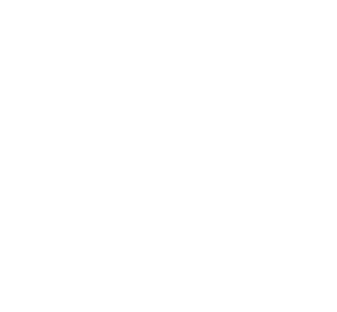 Guerreros de Oaxaca
